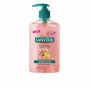 SANYTOL JABÓN DE MANOS antibacteriano cocina 250 ml de SANYTOL - Ofertas Online y Envío Gratis