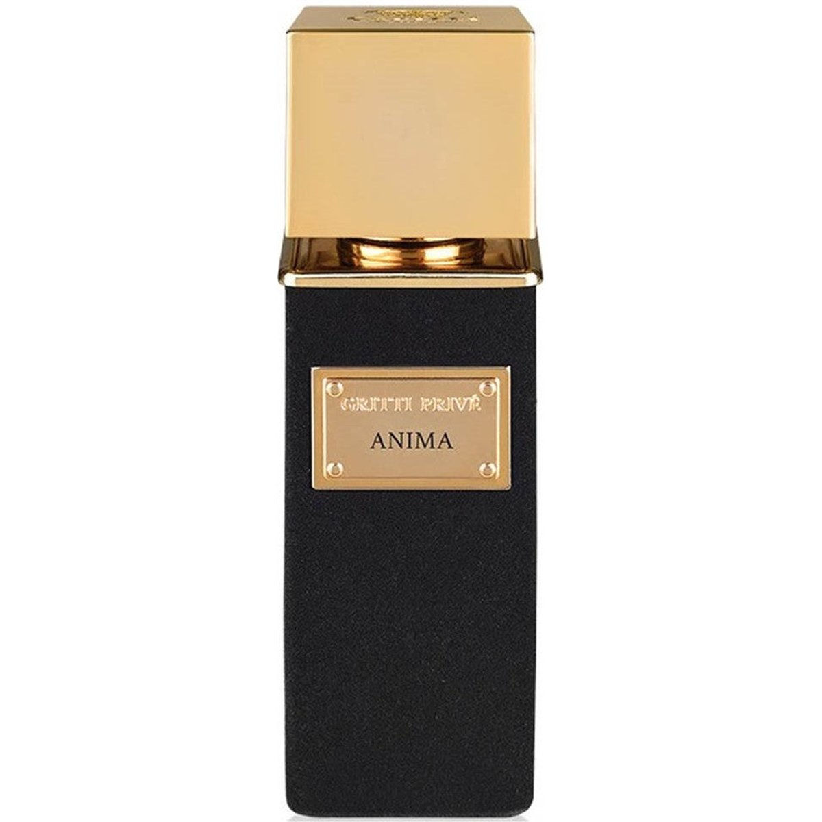 ANIMA EXTRAIT DE PARFUM edp vapo 100 ml