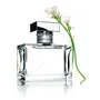 ROMANCE eau de parfum vaporizador 50 ml de RALPH LAUREN - Ofertas Online y Envío Gratis
